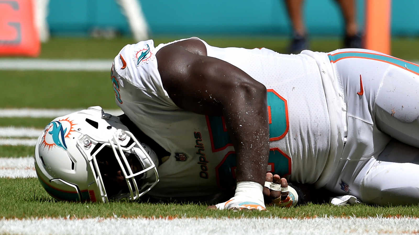 Dolphins DE William Hayes out for season with torn ACL