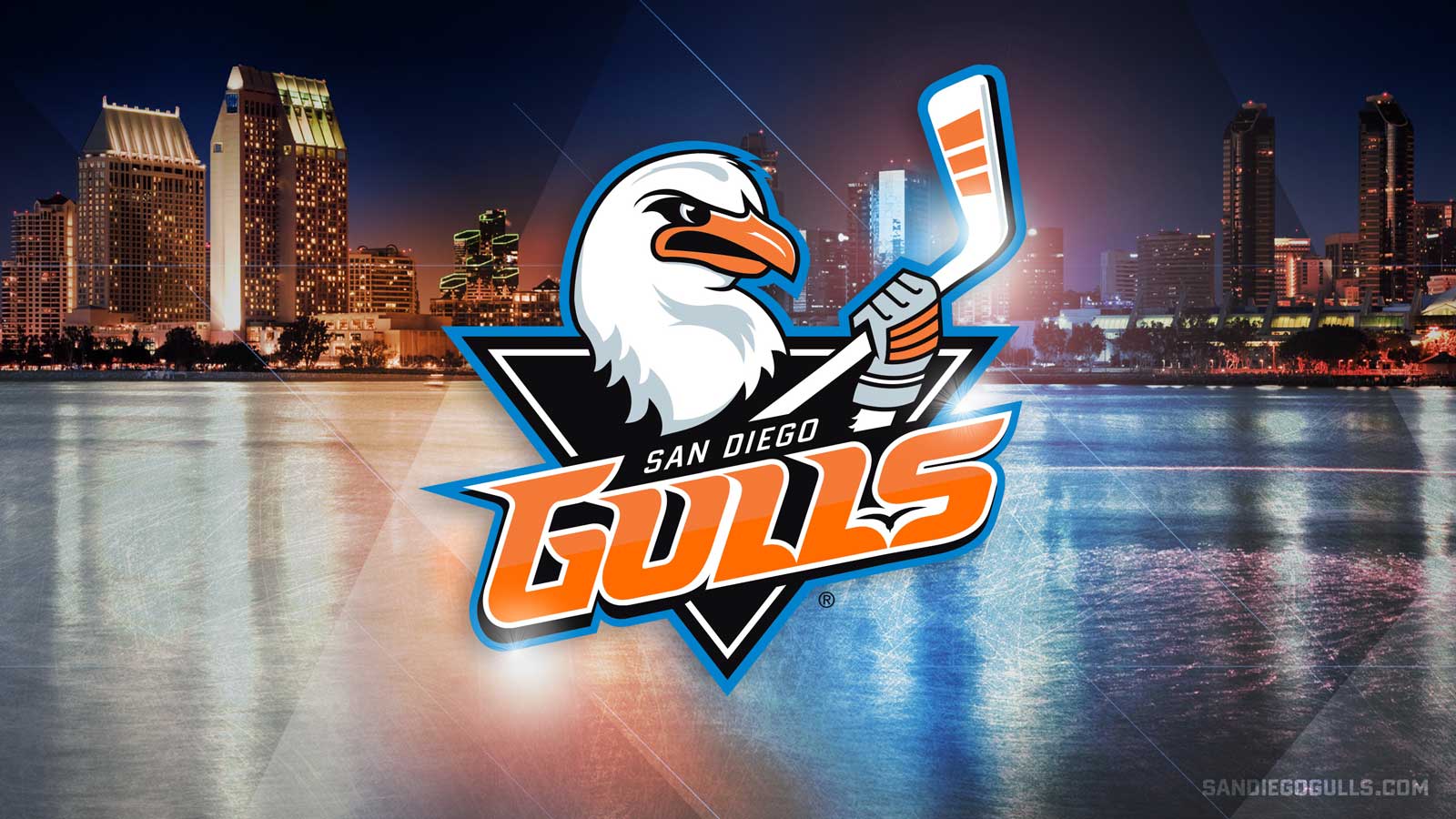 WATCH: Gulls vs Roadrunners Saturday at 7pm