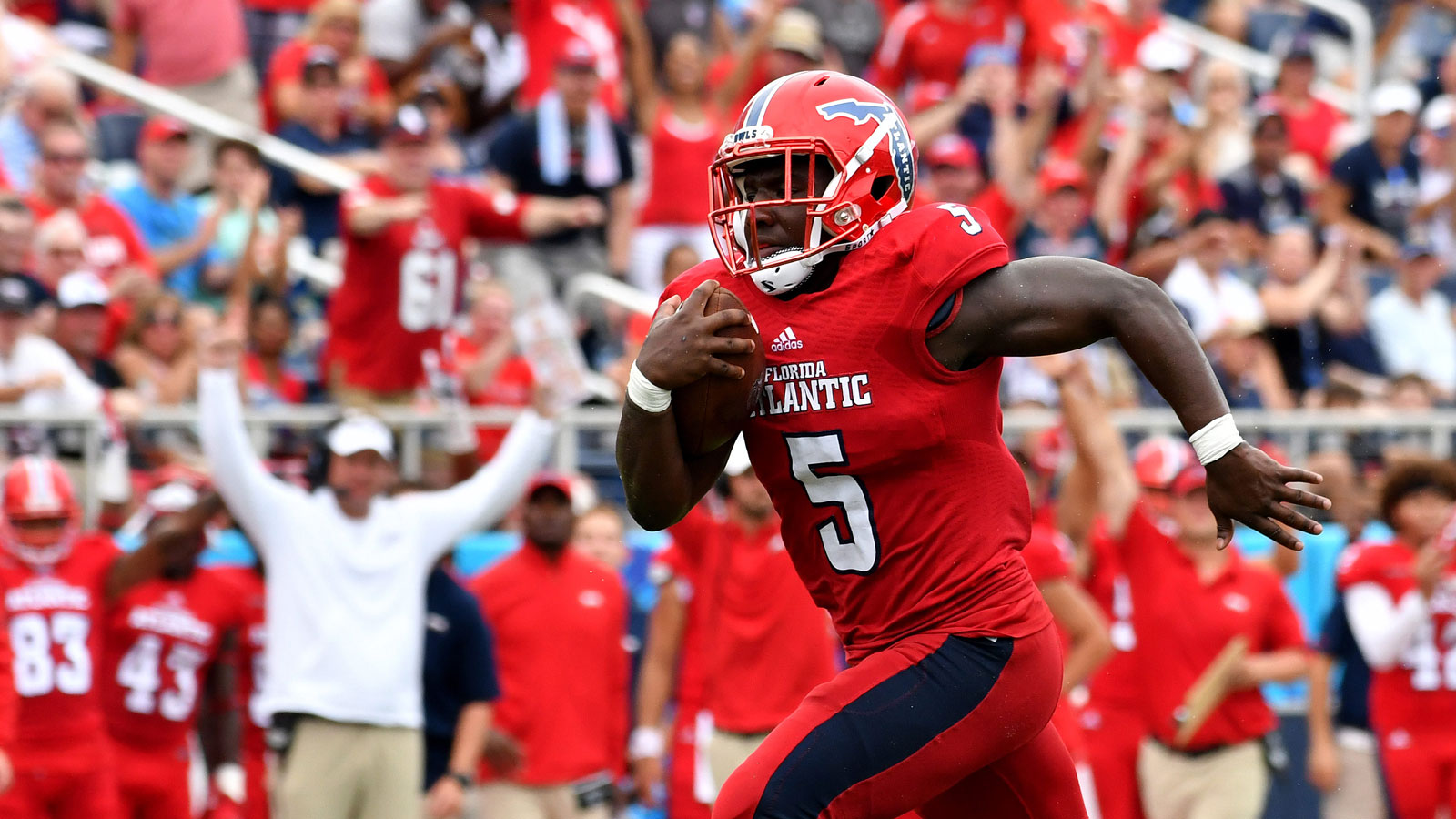 Devin Singletary becomes FAU's all-time career rushing leader in Owls' win over ODU