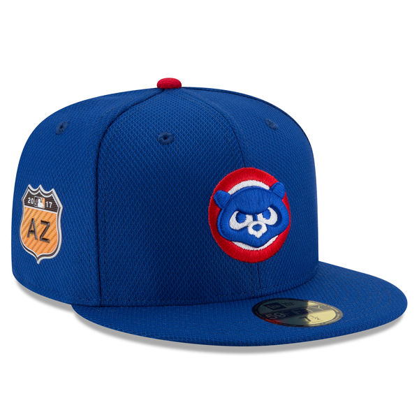 chicago cubs spring training hats