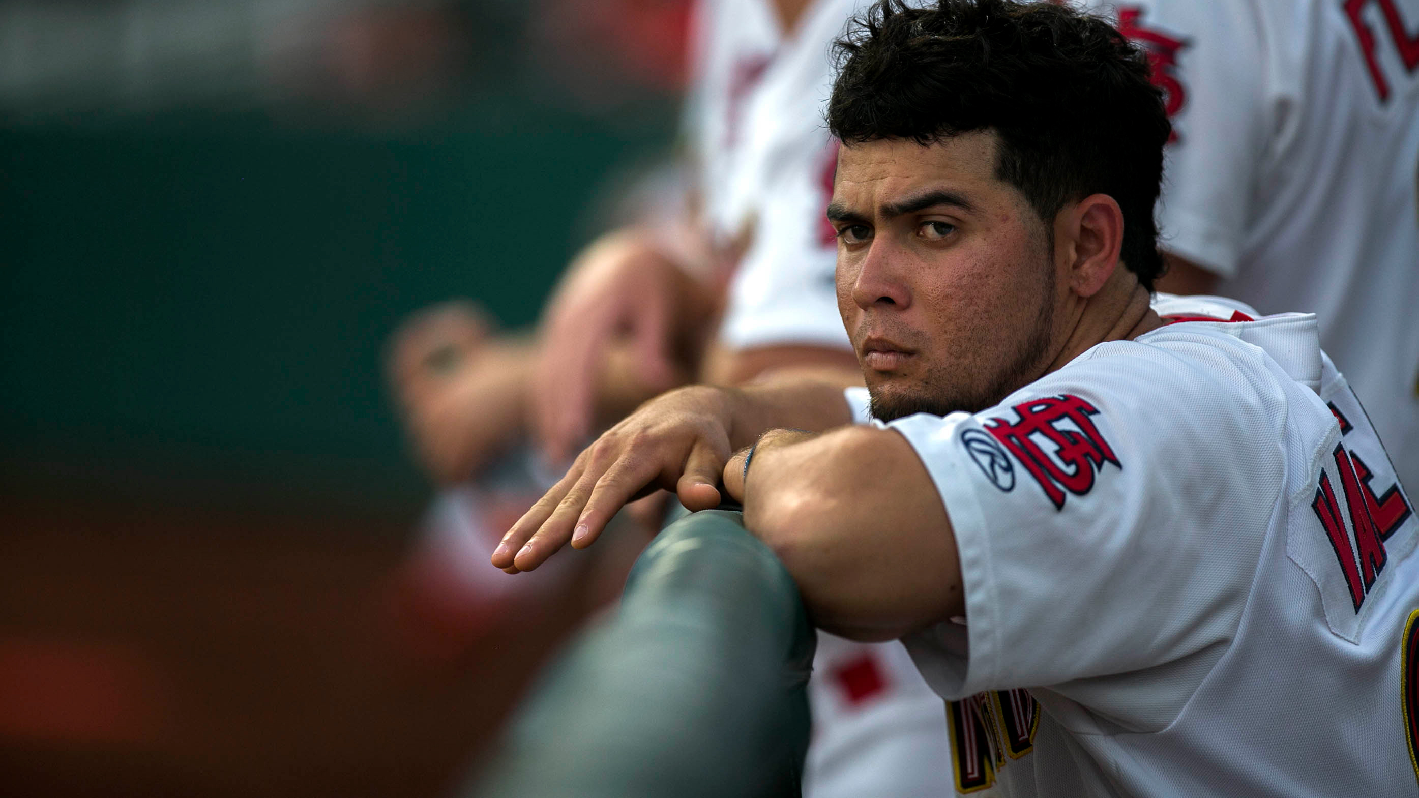 Cardinals send Breyvic Valera to Dodgers for minor league outfielder Johan Mieses