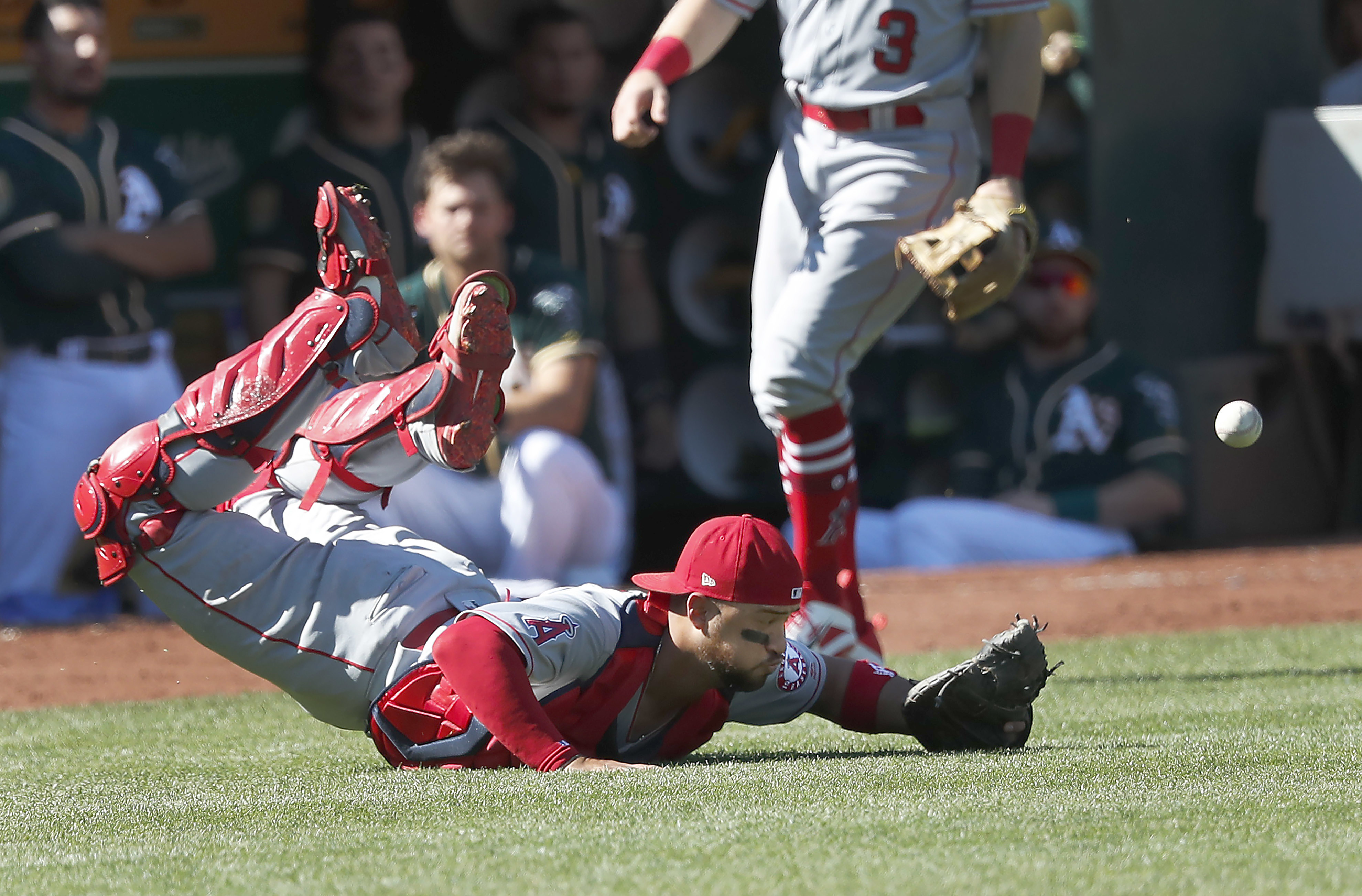 Busy day lands Angels' Arcia in baseball record books