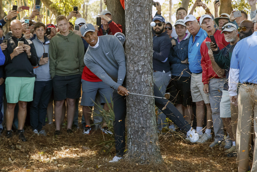 Tiger Woods shoots 70 thanks to par-saving shot from trees