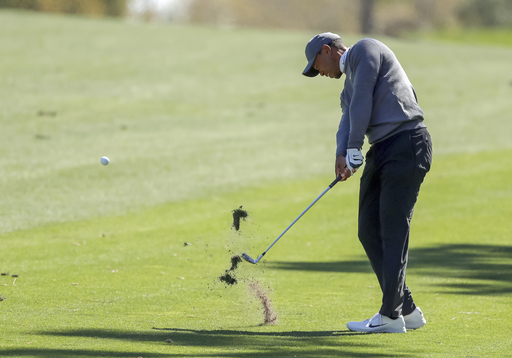 Woods takes share of early lead at Innisbrook