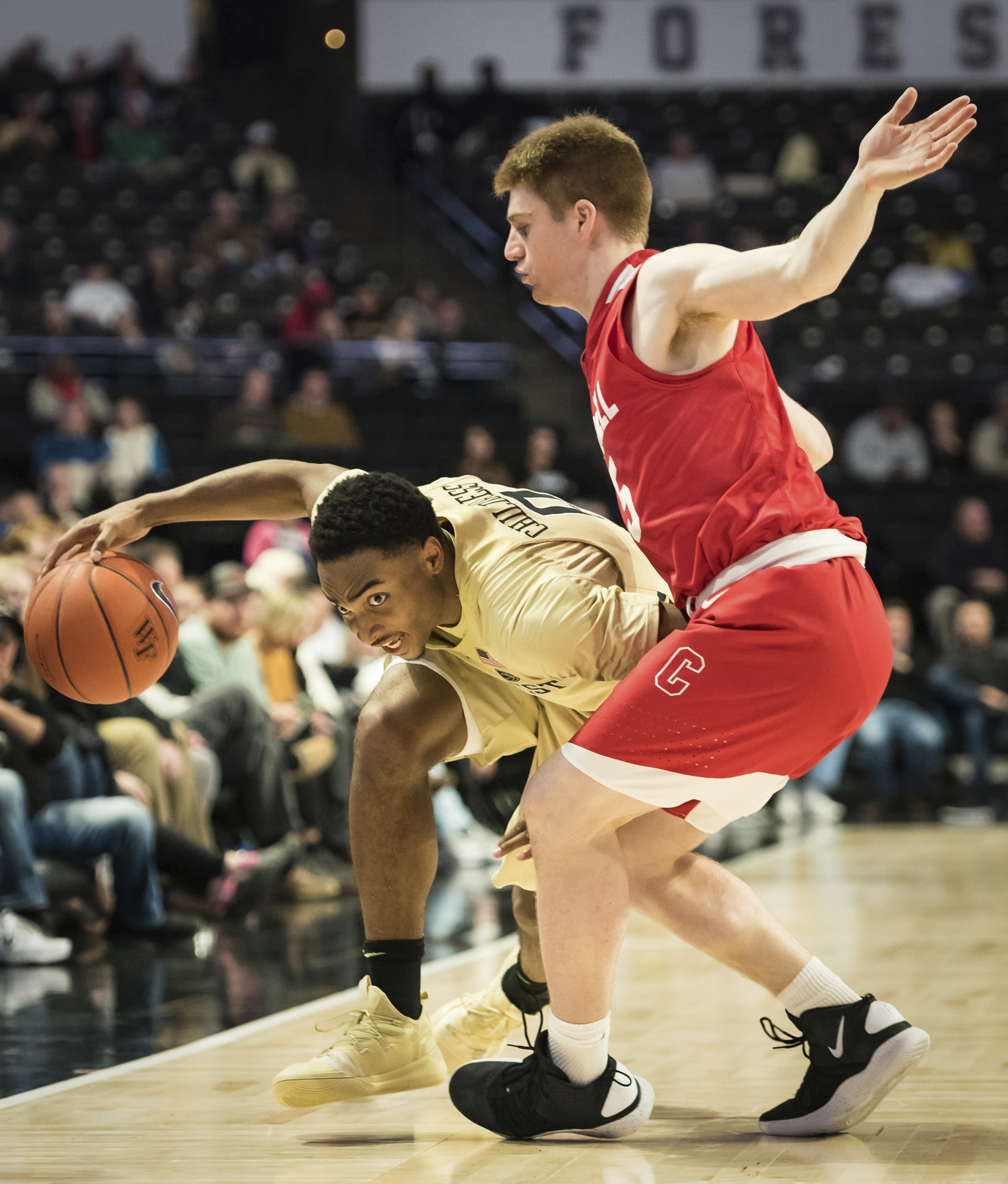 Wake Forest downs Cornell 83-61 on Hoard’s career night