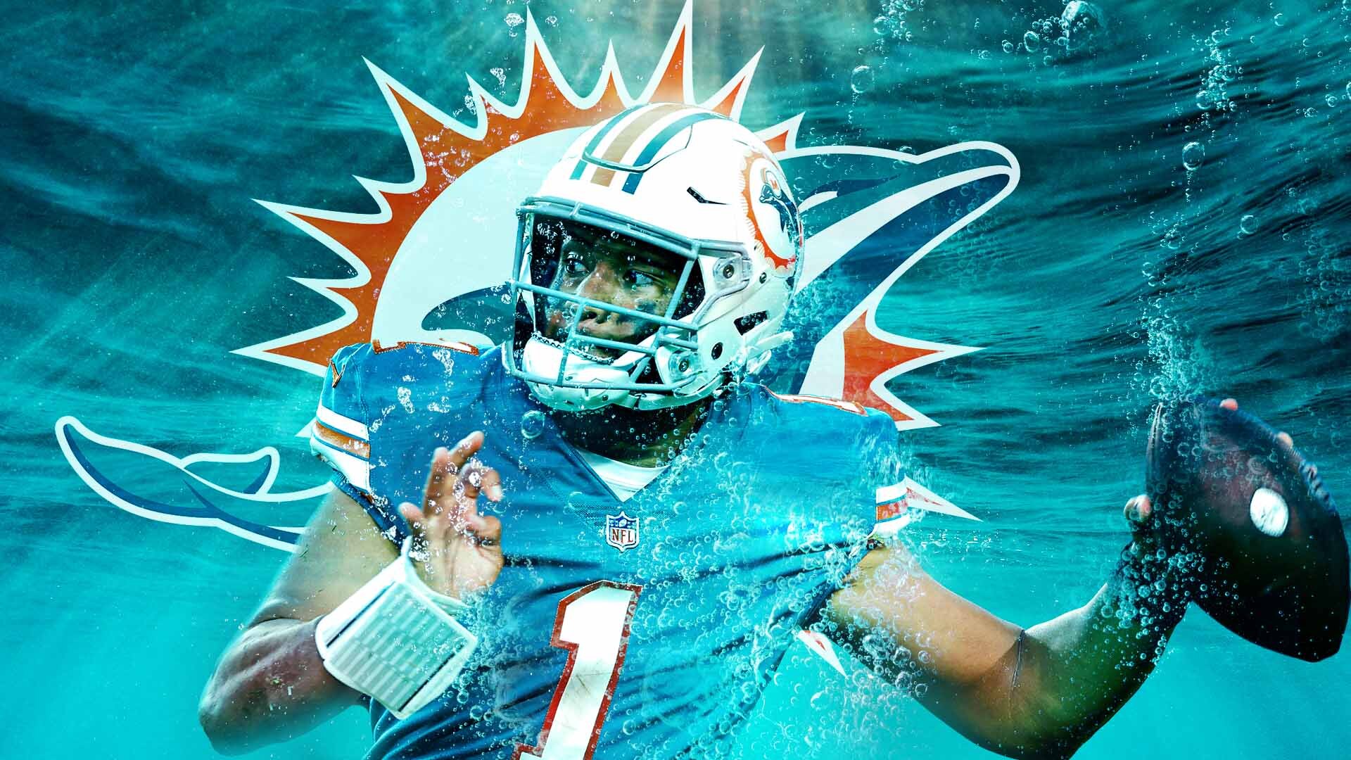 dolphins lions 2022