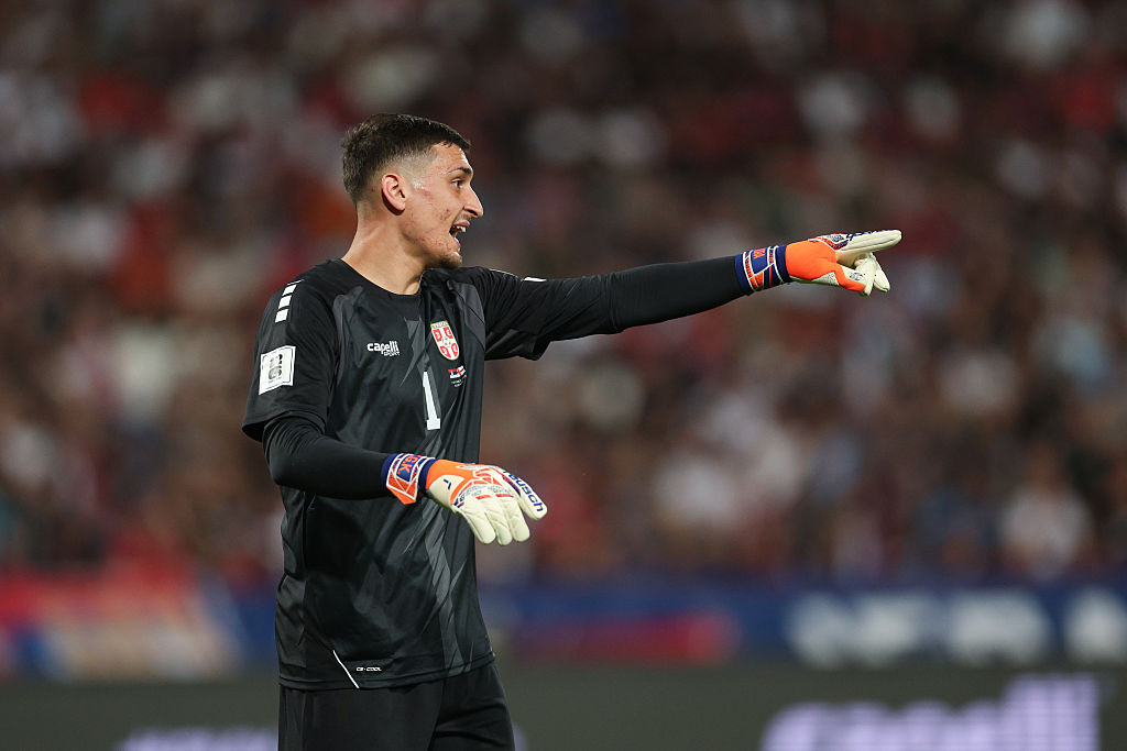 Serbia vs Albania: How to Watch, Odds, WCQ Preview