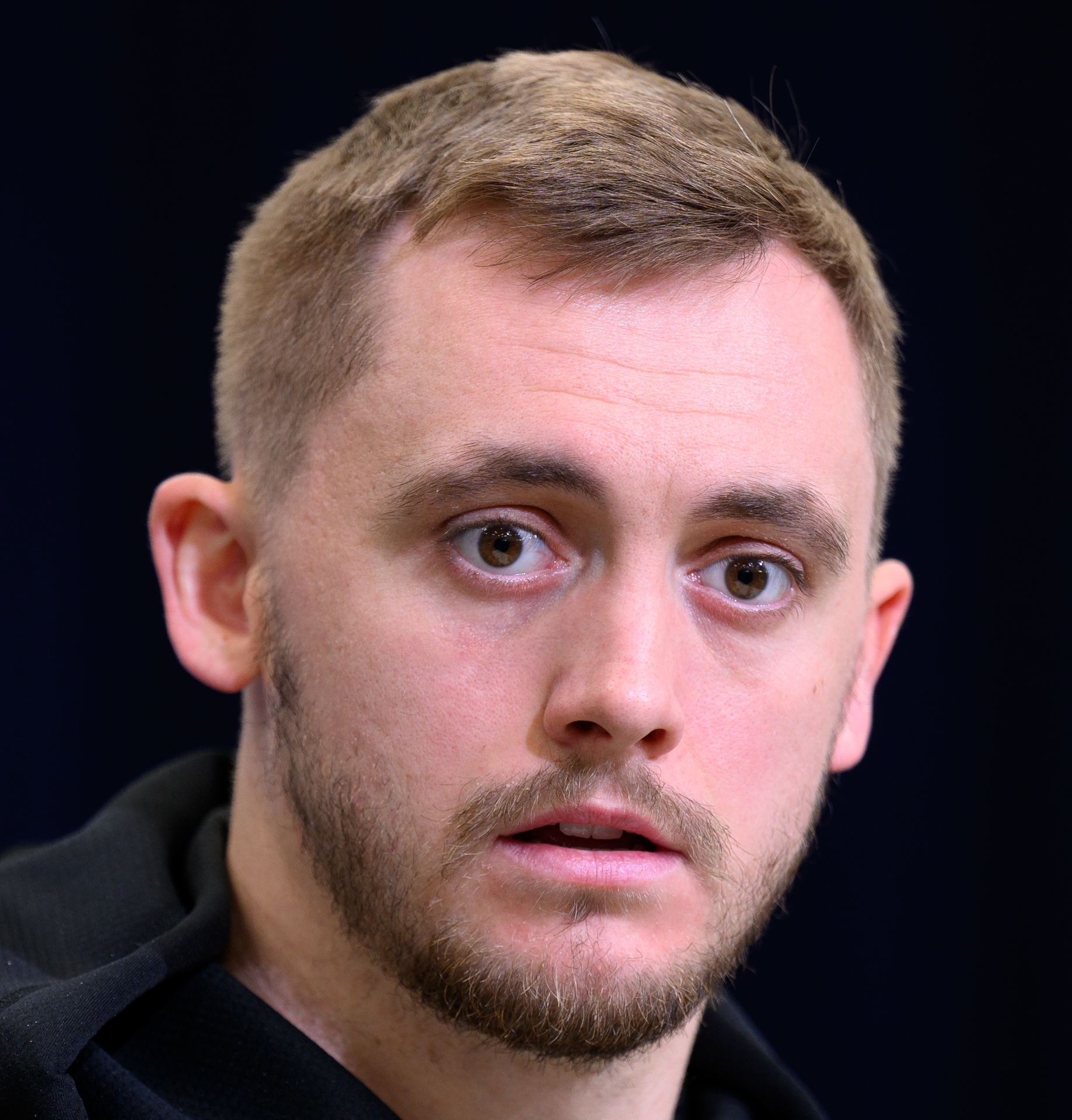 Haynes King